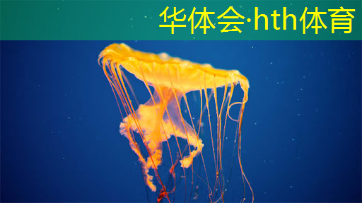 华体会·(hth)体育：3d加速关了但游戏太快
