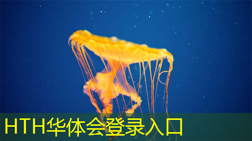 华体会·hth体育：3d版好玩的吃鸡游戏单机