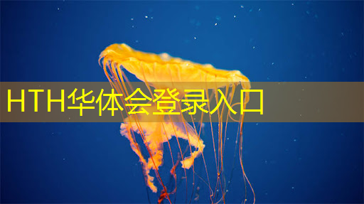 华体育hth官网登录：游戏原画建筑毕业设计开题报告