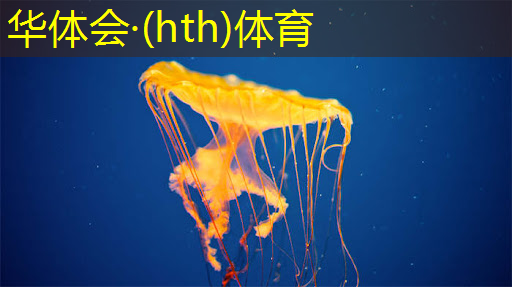 华体育hth：沉浸式游戏3d动漫