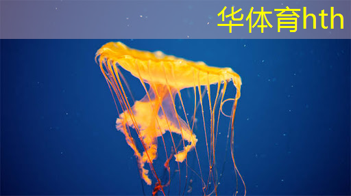 HTH华体会登录入口：游戏原画师参加节目叫什么