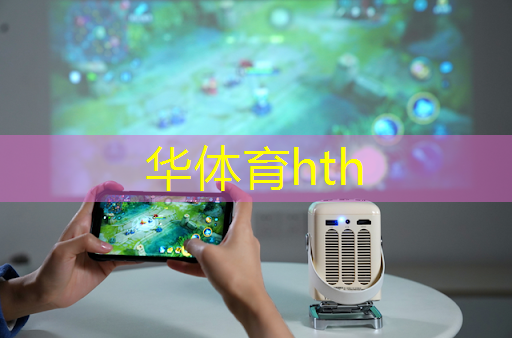 华体会·hth体育：3d立体安静书可玩的游戏