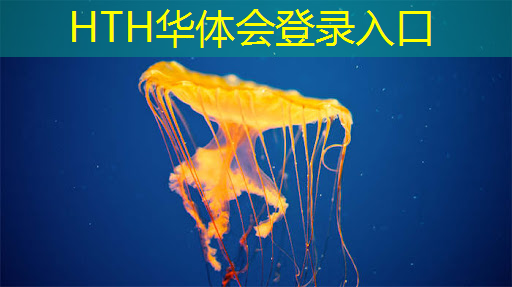 HTH华体会登录入口：电竞青年职业技能大赛：动手操作，领略游戏中的艺术！