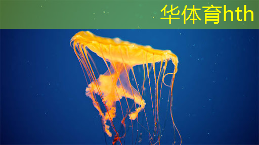 小程序游戏买菜软件叫什么