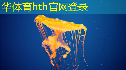 三路对战游戏3d