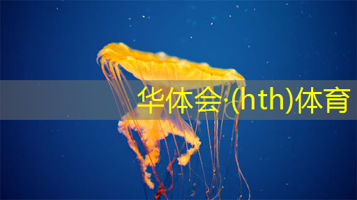 华体育hth官网登录：游戏原画是三维的吗