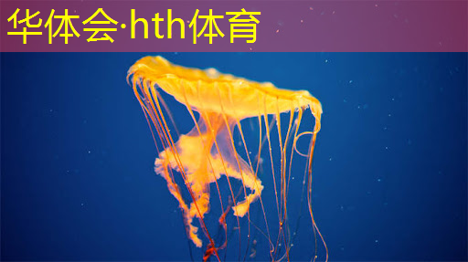 放置人类3d游戏