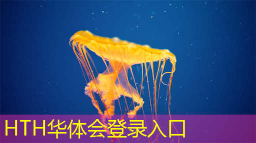 华体会·(hth)体育：小程序有几种玩法的游戏