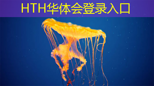 华体育hth官网登录：钢琴小游戏 程序怎么玩