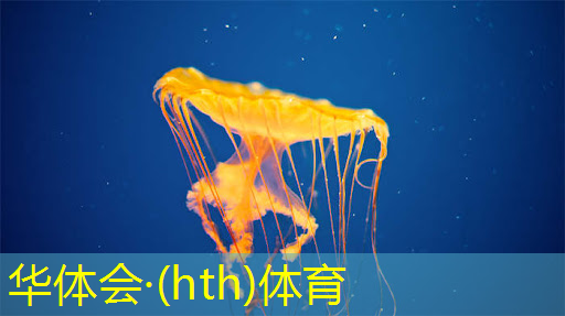 华体会·hth体育：如何观看中国电子青年电竞大赛的直播？
