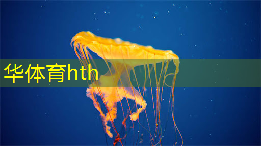 华体会·(hth)体育：毛球游戏程序设计与实现