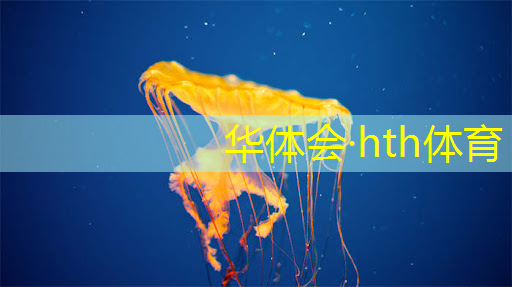 华体会·hth体育：青年电竞大赛总决赛的奖金是多少？