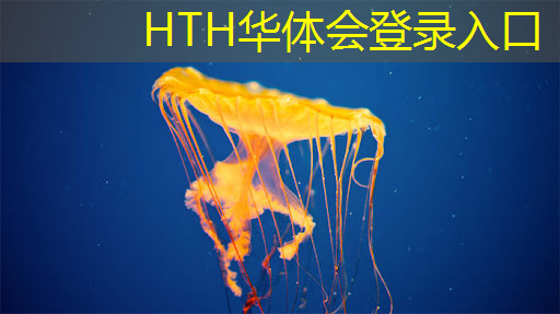 3d加速关了但游戏太快