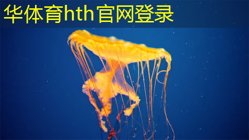 3d版好玩的吃鸡游戏单机