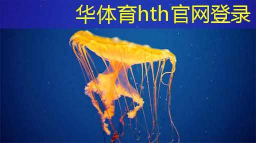 沉浸式游戏3d动漫