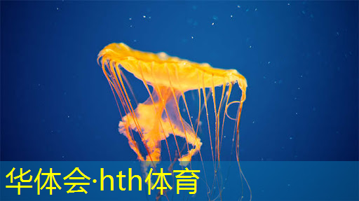 小程序游戏买菜软件叫什么