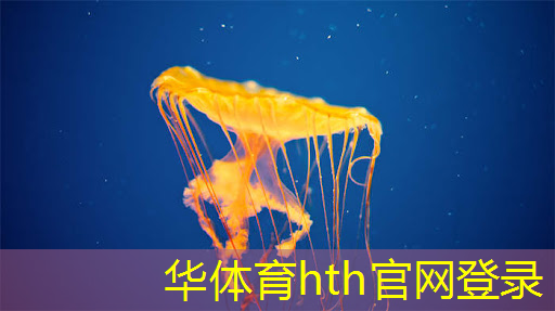 放置人类3d游戏
