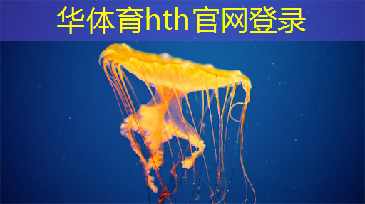 收集蚂蚁小程序的游戏